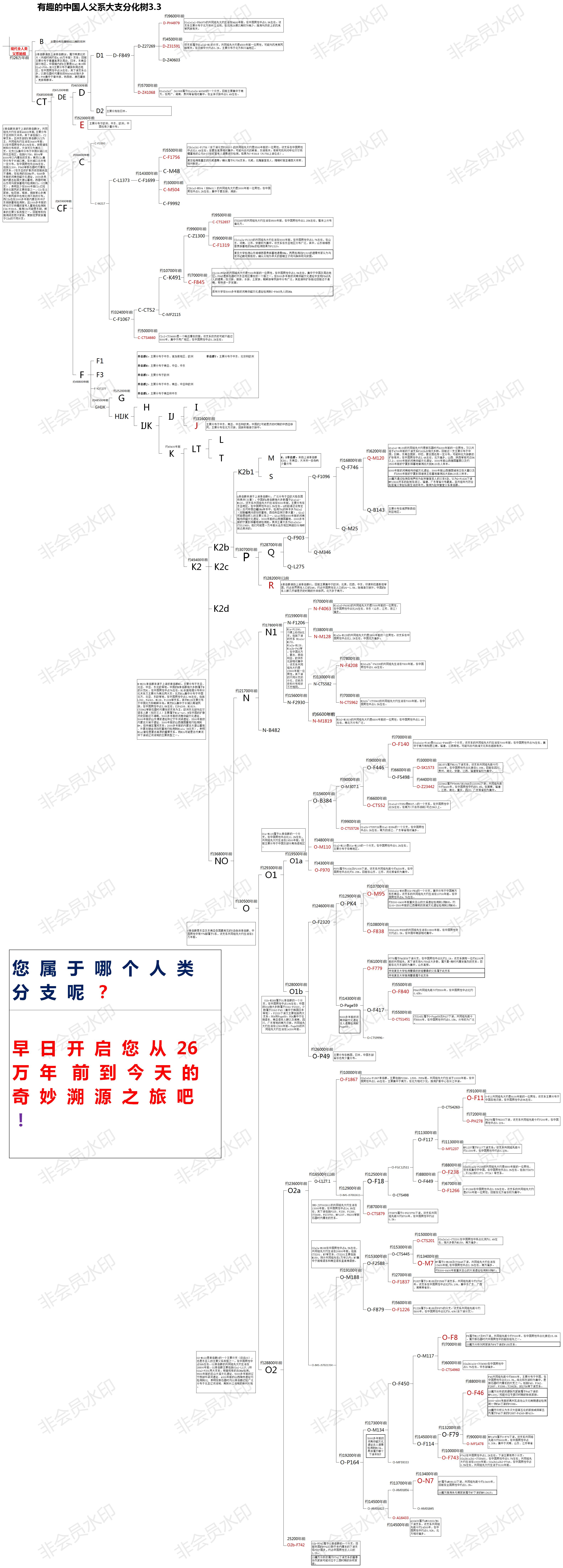 有趣的中国人父系大支表及分化树开启你26万年到今天的奇妙溯源之旅吧