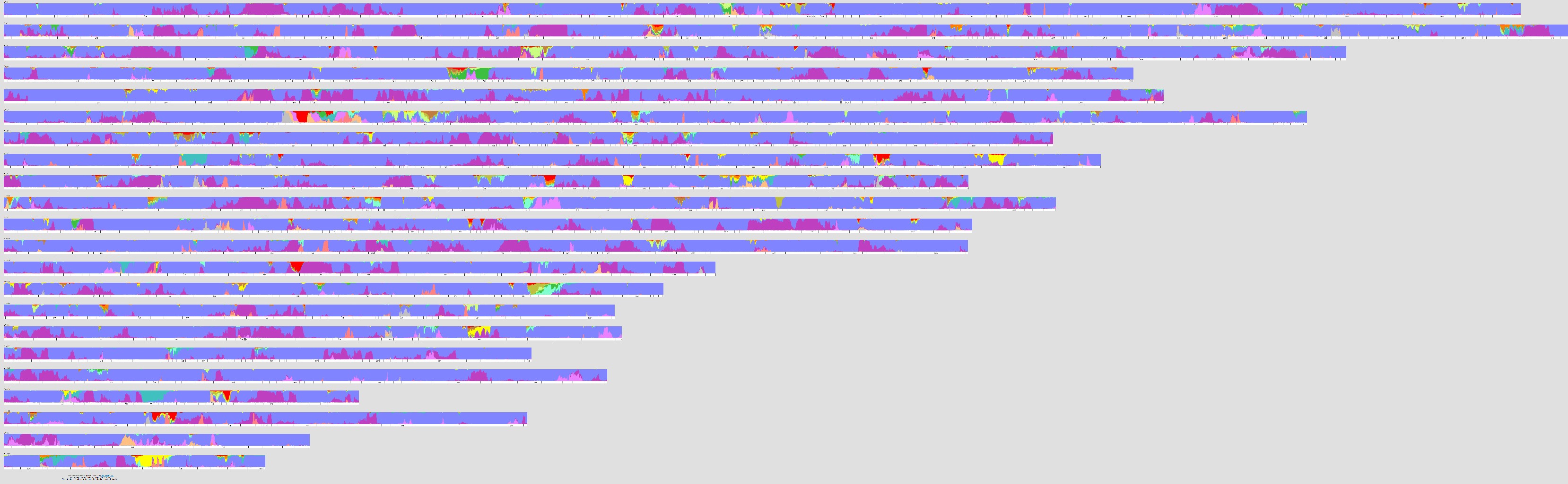 1587465725049805.jpg