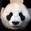 orz_wohencai