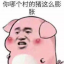 凌小川