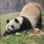 WeChat_8A49C9