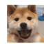 We哈
