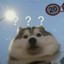 WeGene_DFDB9B37