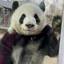 WeGene_2D394455