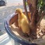 WeGene_911ABFE2