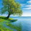 WeGene_36CFE865