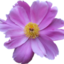 WeGene_E7110390
