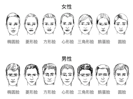 脸型类型及图片及解说图片