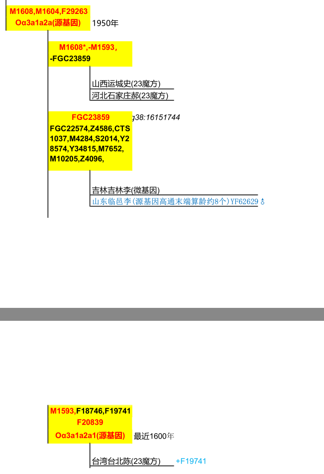 M1513譜系三.png