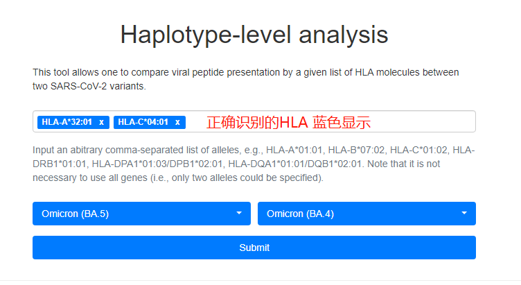 HLA-分型-2-.png