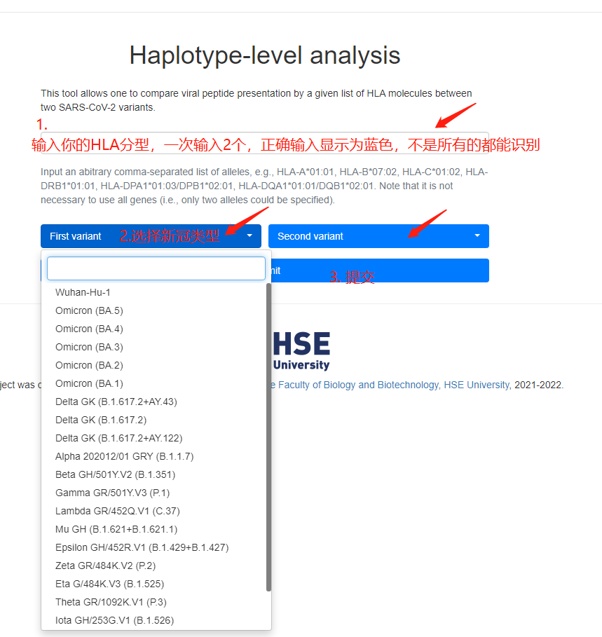 HLA-分型-.png